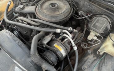 Chevrolet-El-Camino-1985-Standard-Cab-Pickup-6