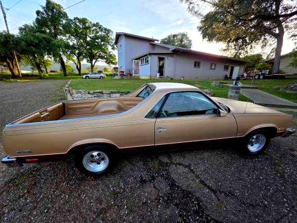 Chevrolet-El-Camino-1987-Standard-Cab-Pickup-5
