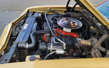 Chevrolet-El-camino-1969-21
