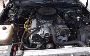 Chevrolet-El-camino-1978-4