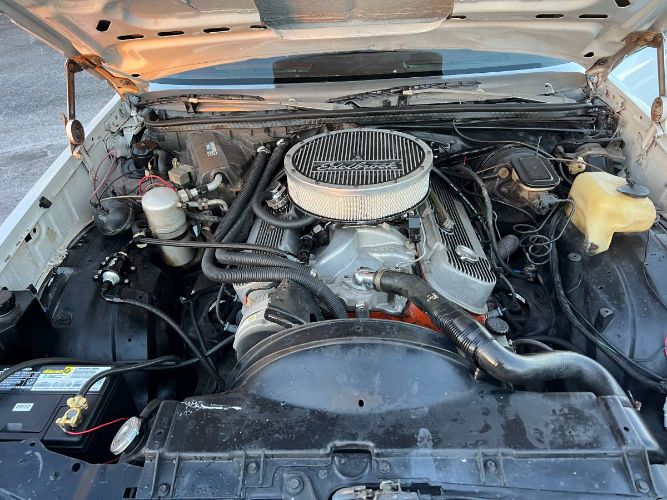 Chevrolet-El-camino-1978-White-10
