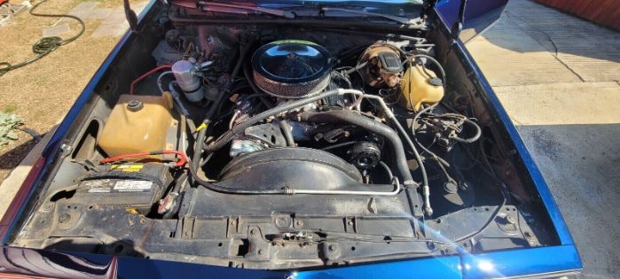Chevrolet-El-camino-1980-Blue-20