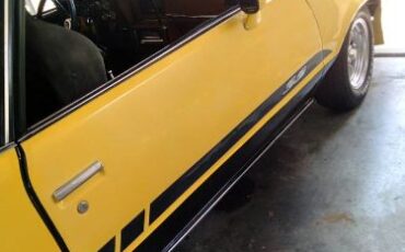 Chevrolet-El-camino-1980-Custom-3