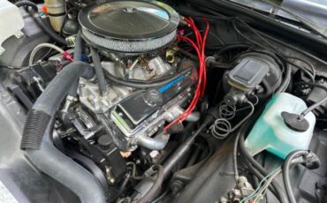 Chevrolet-El-camino-1981-1