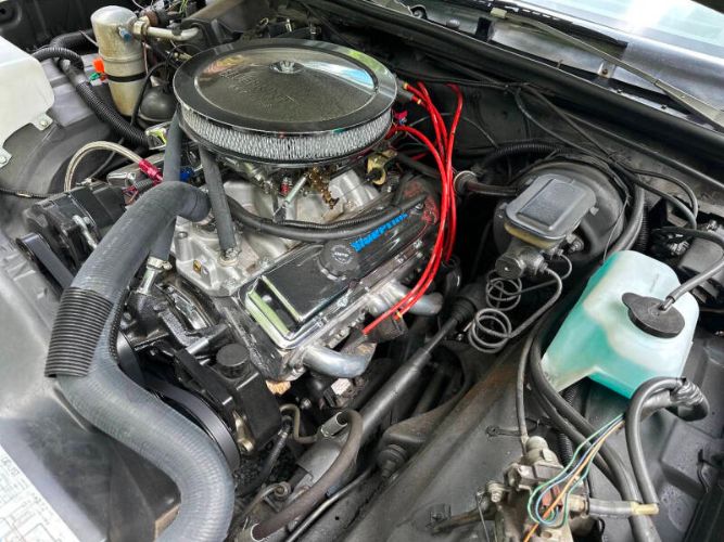 Chevrolet-El-camino-1981-1
