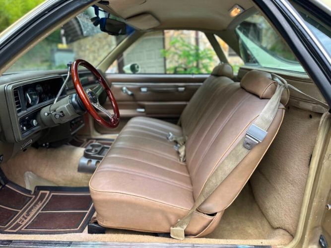 Chevrolet-El-camino-1981-10