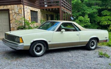 Chevrolet-El-camino-1981-11