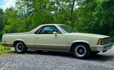 Chevrolet-El-camino-1981-12