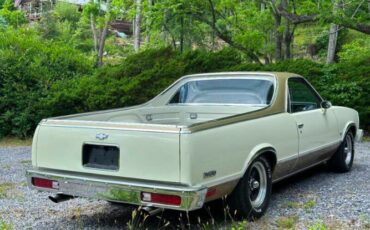 Chevrolet-El-camino-1981-14