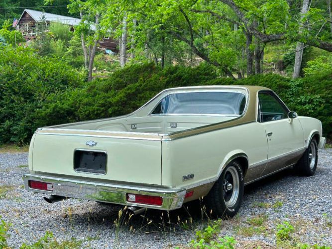 Chevrolet-El-camino-1981-14