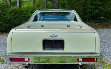 Chevrolet-El-camino-1981-15