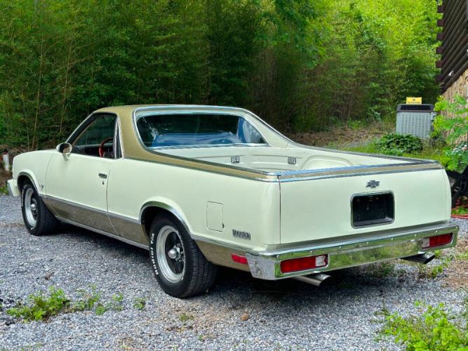 Chevrolet-El-camino-1981-16