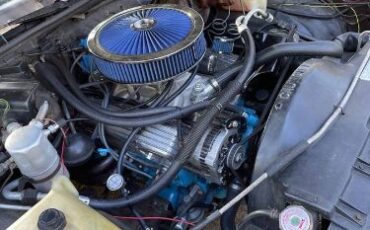 Chevrolet-El-camino-1981