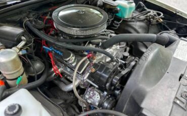 Chevrolet-El-camino-1981-2