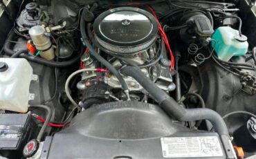 Chevrolet-El-camino-1981-3