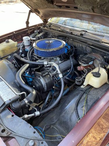 Chevrolet-El-camino-1981-7