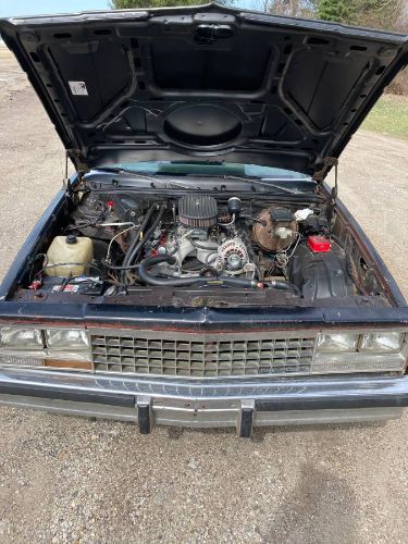 Chevrolet-El-camino-1982-12