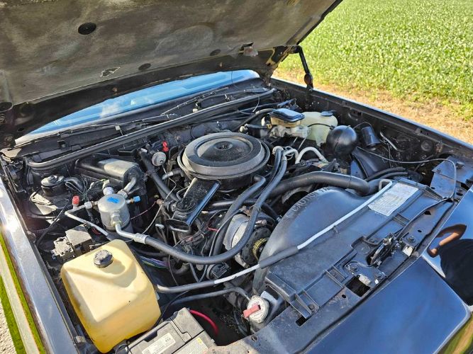 Chevrolet-El-camino-1986-Black-Gray-1