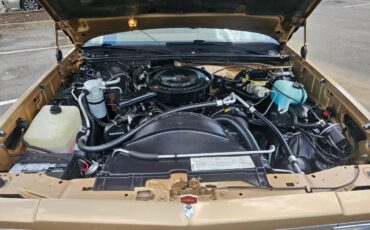 Chevrolet-El-camino-1987-brown-15