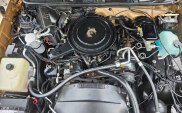 Chevrolet-El-camino-1987-brown-16