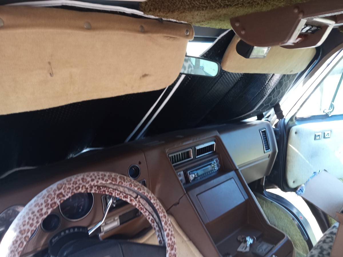 Chevrolet-G20-1982-brown-12