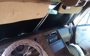 Chevrolet-G20-1982-brown-12