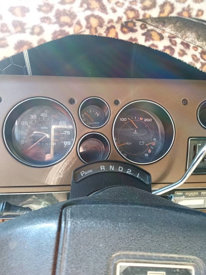 Chevrolet-G20-1982-brown-15
