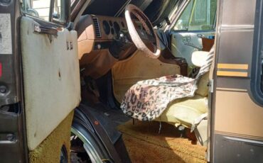 Chevrolet-G20-1982-brown-16