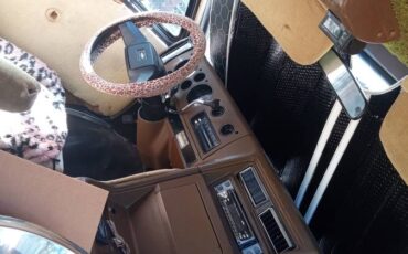 Chevrolet-G20-1982-brown-4