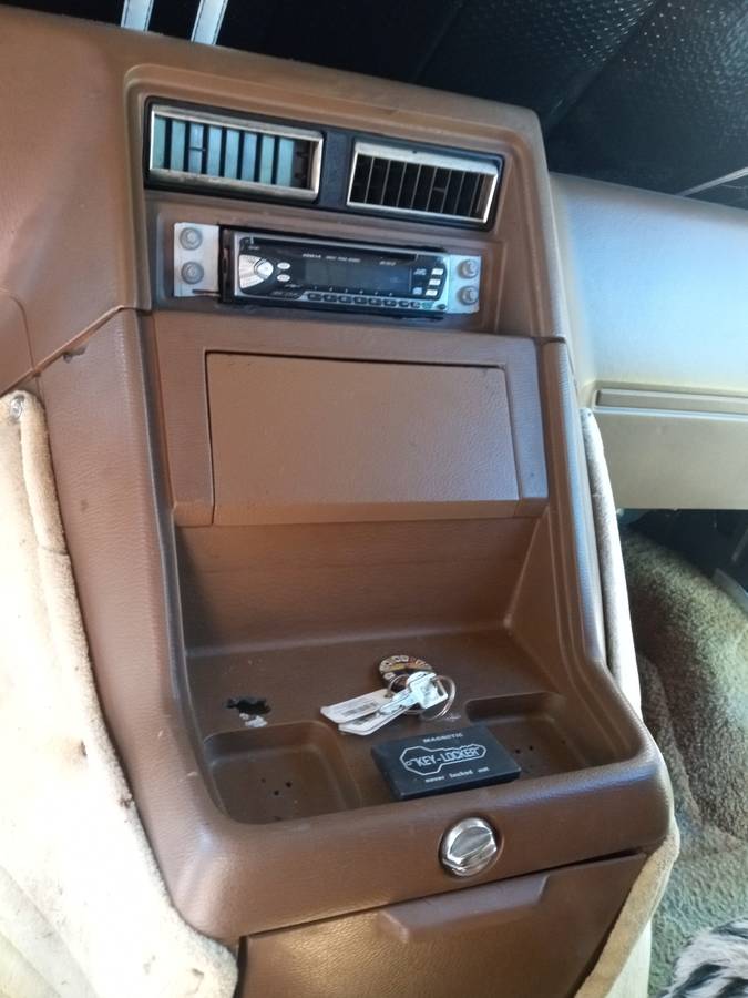 Chevrolet-G20-1982-brown-7