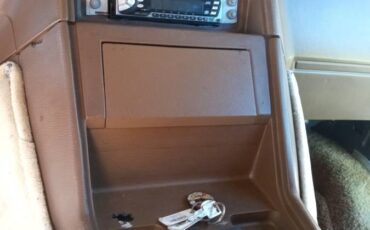 Chevrolet-G20-1982-brown-7