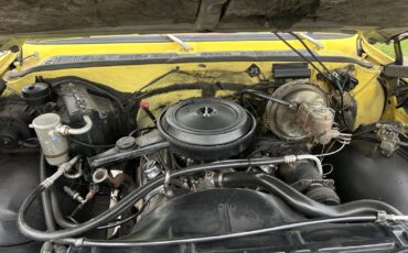 Chevrolet-K-20-1978-11