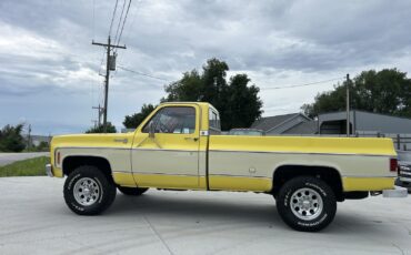 Chevrolet-K-20-1978-2