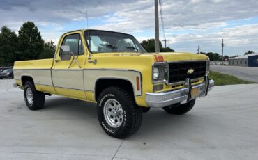Chevrolet-K-20-1978-3