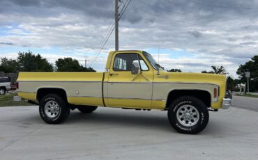 Chevrolet-K-20-1978-4