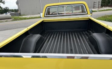 Chevrolet-K-20-1978-6