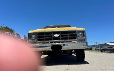 Chevrolet-K10-1979-1