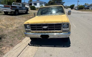 Chevrolet-K10-1979-2