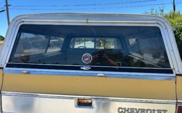 Chevrolet-K10-1979-3