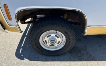 Chevrolet-K10-1979-4