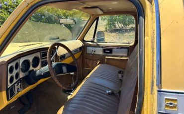 Chevrolet-K10-1979-6