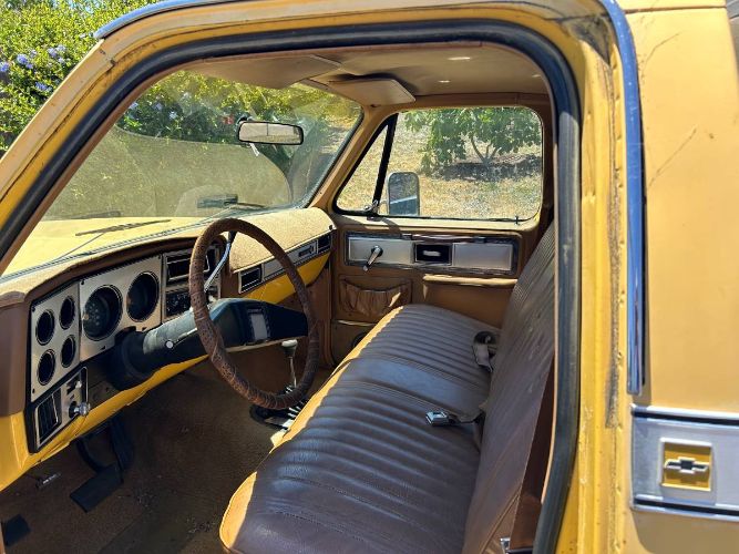 Chevrolet-K10-1979-6