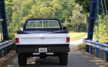 Chevrolet-K10-1982-Standard-Cab-Pickup-4