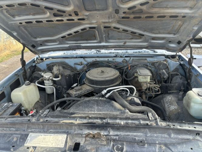 Chevrolet-K10-1986-Blue-Blue-1