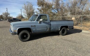 Chevrolet-K10-1986-Blue-Blue