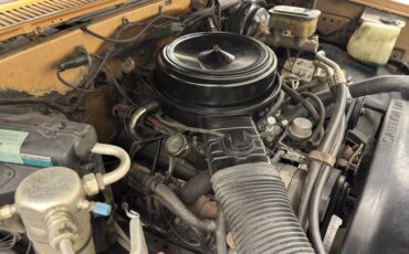 Chevrolet-K10-1986-Nevada-Gold-Black-20
