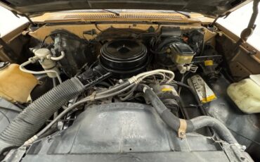 Chevrolet-K10-1986-Nevada-Gold-Black-21