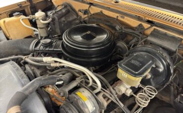 Chevrolet-K10-1986-Nevada-Gold-Black-22