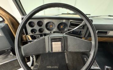 Chevrolet-K10-1986-Nevada-Gold-Black-33