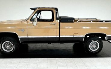 Chevrolet-K10-1986-Nevada-Gold-Black